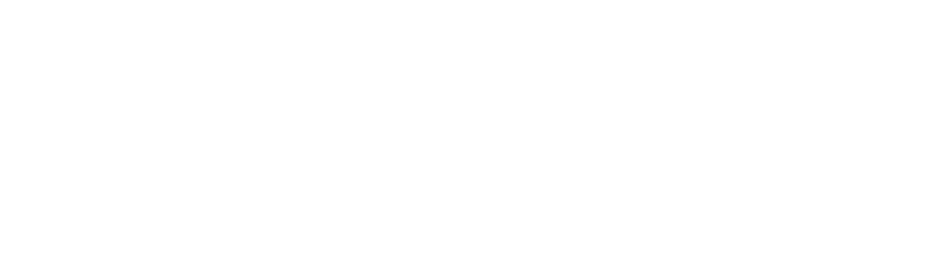Raynow Power